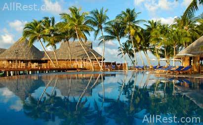 Vilu Reef Beach & SPA Resort 11